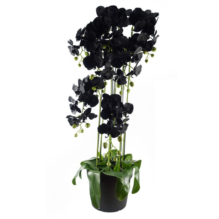 110cm Large Black Orchid Plant Artifcial 41 REAL TOUCH flowers