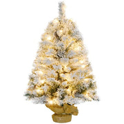 https://images.avasam.com/?url=https://avasamnew.s3.amazonaws.com/live//x53lOutPUtpatCjdvLWAhAaosomrLenRpucwJn4nQhNaCyI-lyWKCC8MNImNgTZoRoo2PI.jpg&w=500