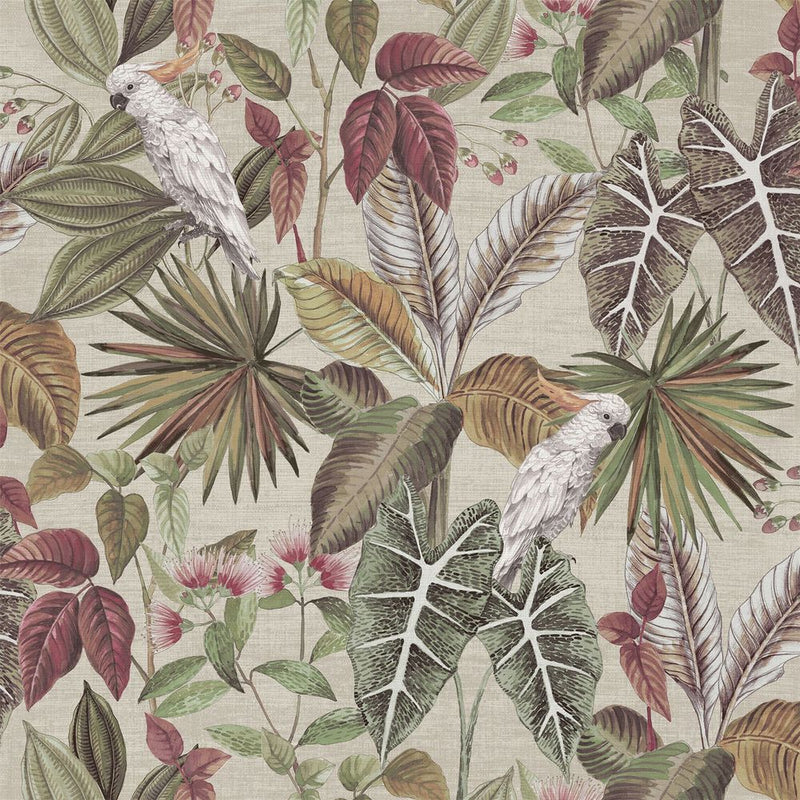 Premium Vintage Parrot Multi sw12 - High Quality, Professional Seller