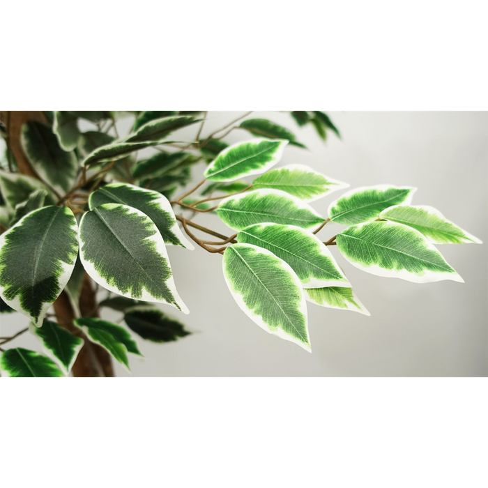 Premium 150cm Silk Ficus Tree - Lifelike & Low Maintenance!