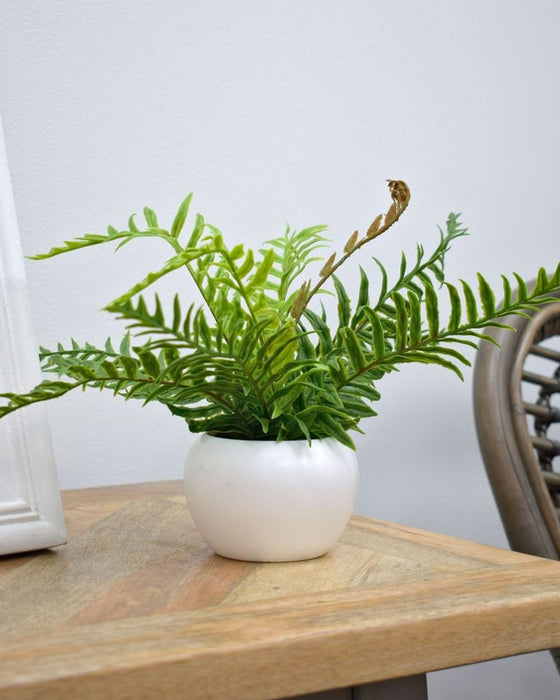 Realistic Artificial Nephrolepis Fern 16cm - Green Potted Plant