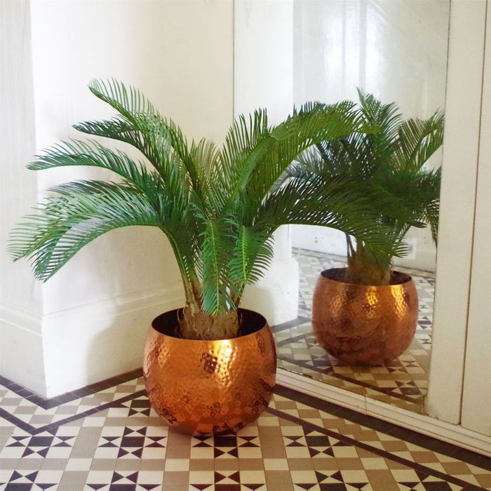 Premium 80cm Artificial Cycas Palm Plant - Lifelike Tropical Tree