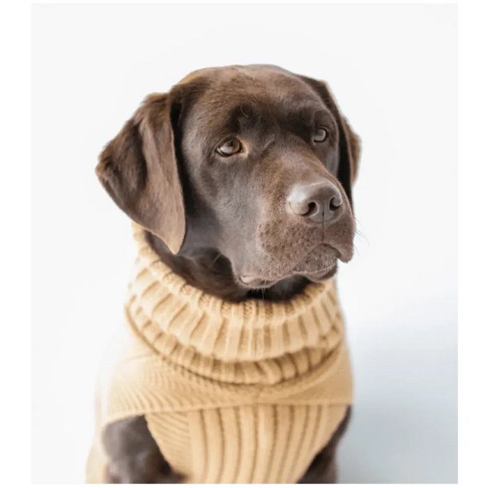 Contemporary Cableknit Jazz Dog Jumper in Camel