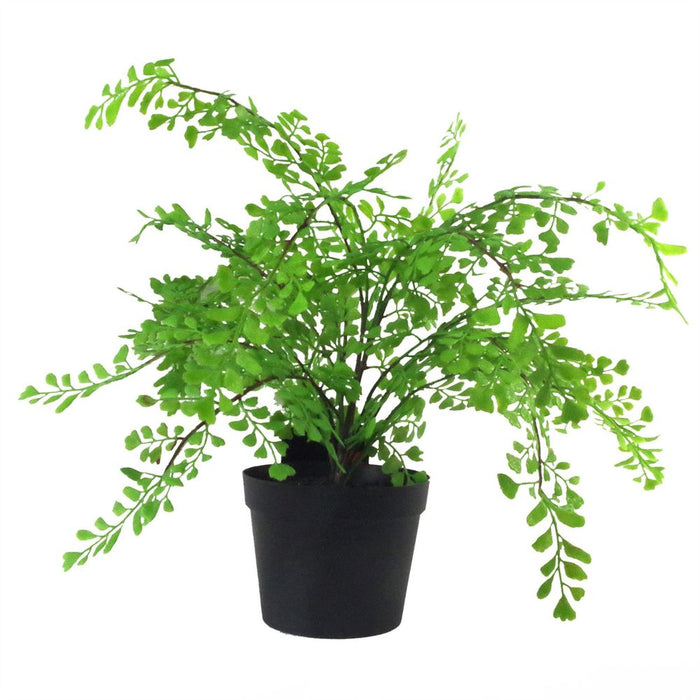 35cm Artificial Potted Fern (Southern Maidenhair Fern) - Luxurious Quality