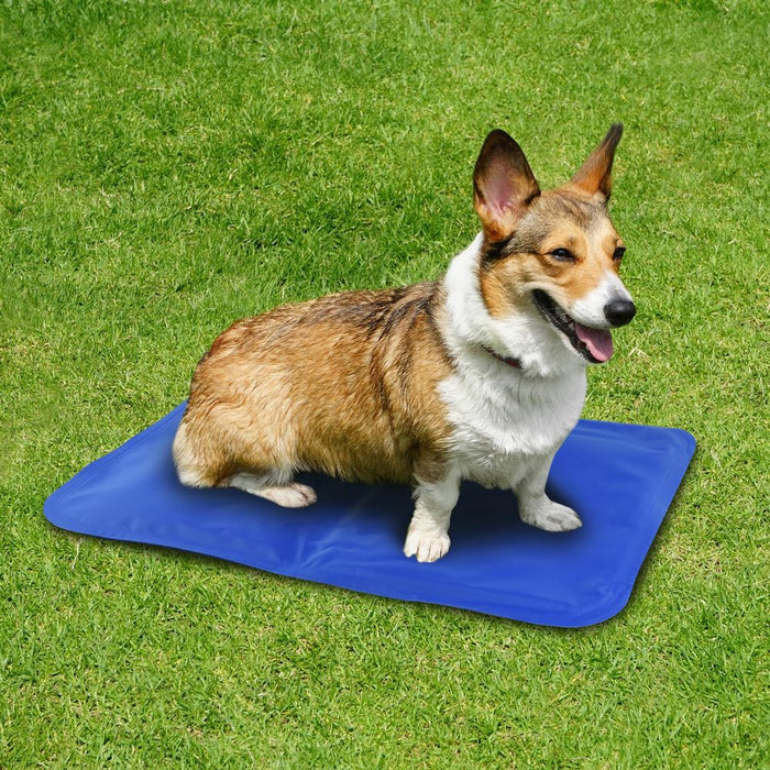 VINSANI Pet Gel Pad - Beat Summer Heat, Portable, Hygienic, Durable