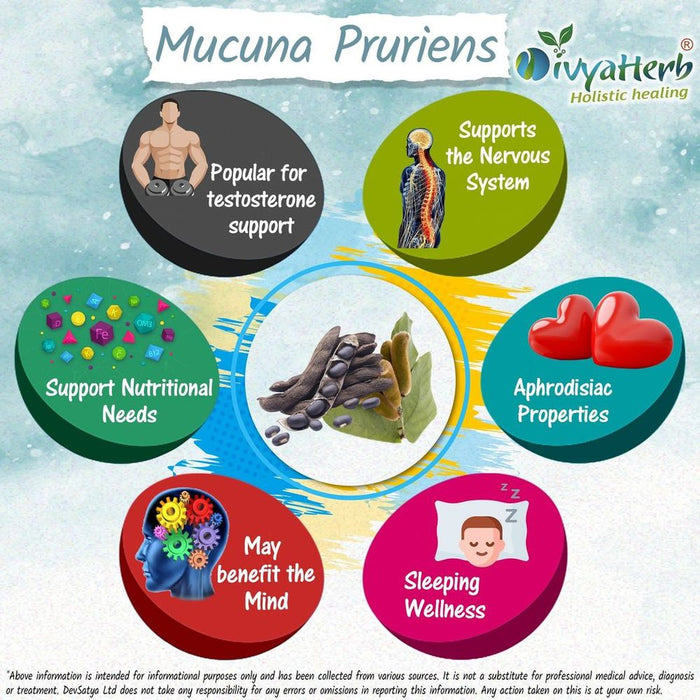 Mucuna Pruriens Powder: Highest Quality Legume Supplement for Health and Wellness