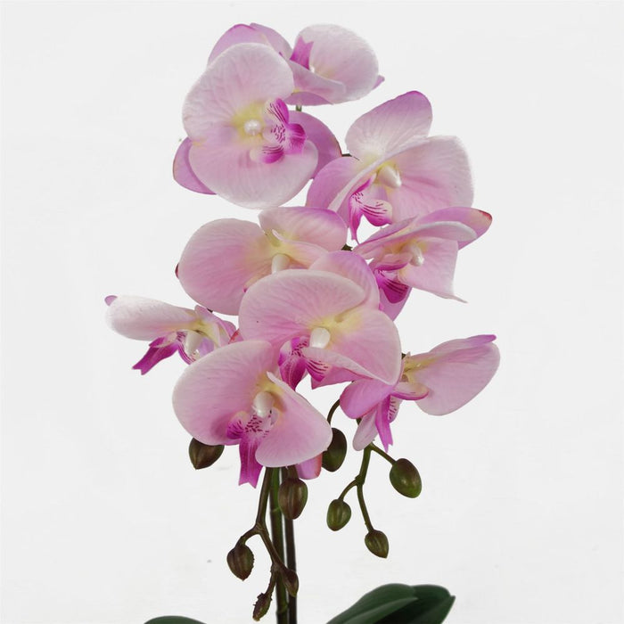 Realistic 50cm Pink Silver Phalaenopsis Orchid - High Quality Artificial Floral Decor