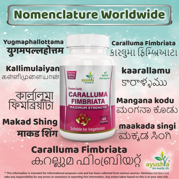 Caralluma Fimbriata Capsule - Natural Appetite Suppressant for Weight Loss, Enhanced Endurance - High Quality