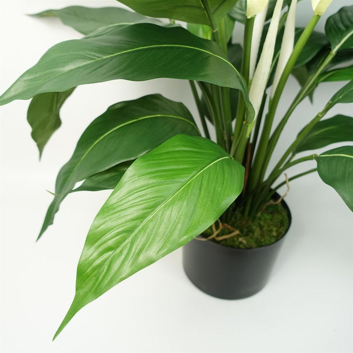 Realistic Artificial Peace Lily - White Spathiphyllum