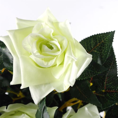 https://images.avasam.com/?url=https://avasamnew.s3.amazonaws.com/live/GB010188/S0671438642_13.jpg&w=500