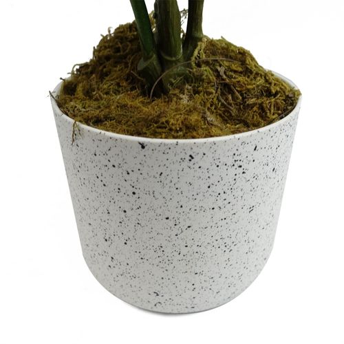 https://images.avasam.com/?url=https://avasamnew.s3.amazonaws.com/product/GB010188/S0671599762/3.png&w=500