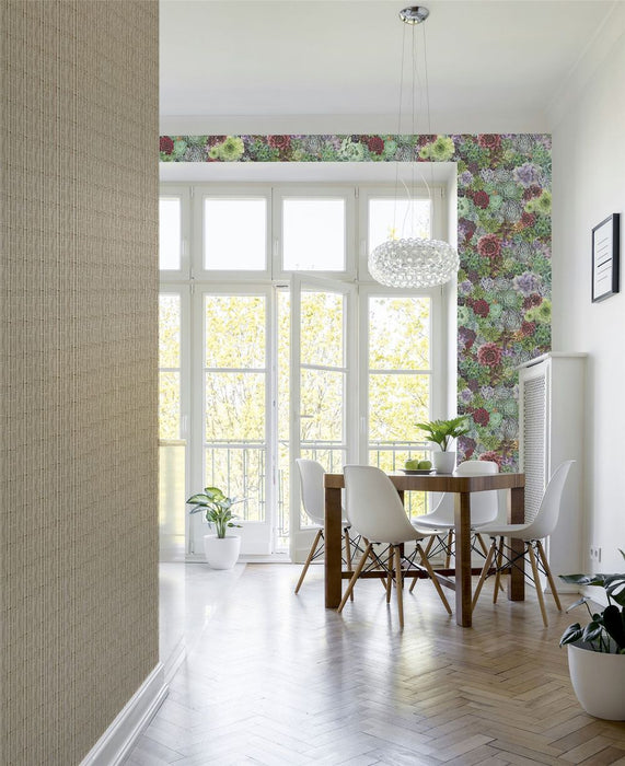 Premium Quality Succulent Living Wall Multi sw12