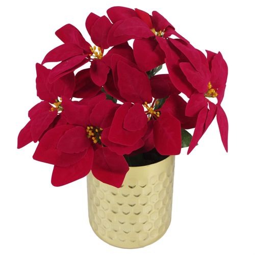 https://images.avasam.com/?url=https://avasamnew.s3.amazonaws.com/live/GB010188/S0671438523_0.jpg&w=500