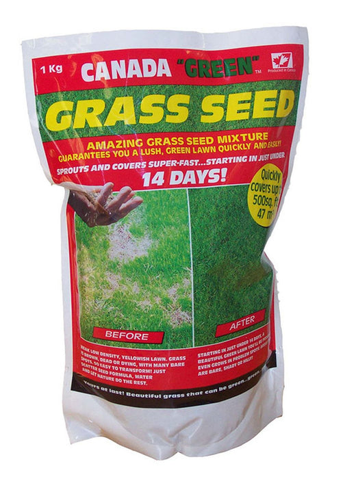 Canada Green Grass Seed 1 Kilo