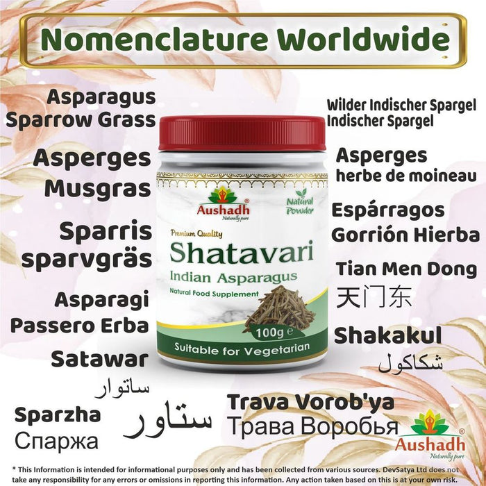 Premium Shatavari Powder - 'Queen of Herbs' for Women - High Quality & Authentic - Boosts Well-being & Vitality