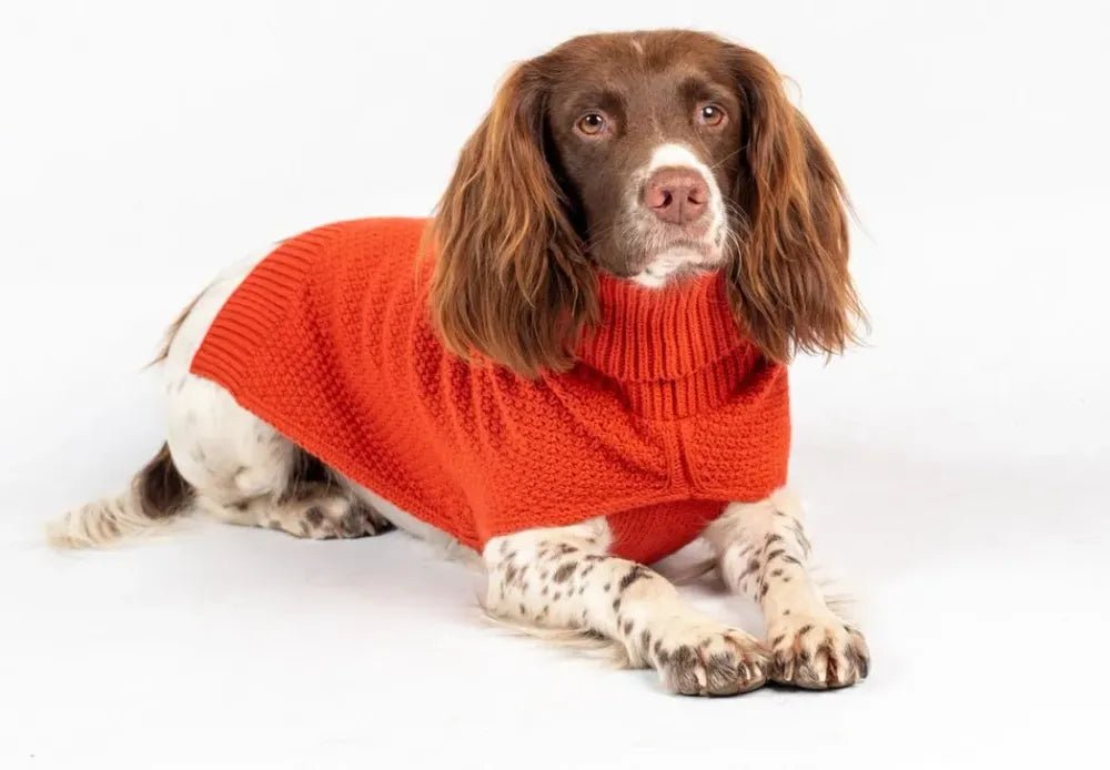 The Jamie Dog Jumper: Burnt Orange | Lycra Strengthened | Leg Slits | Medium to Long | 100% Acrylic