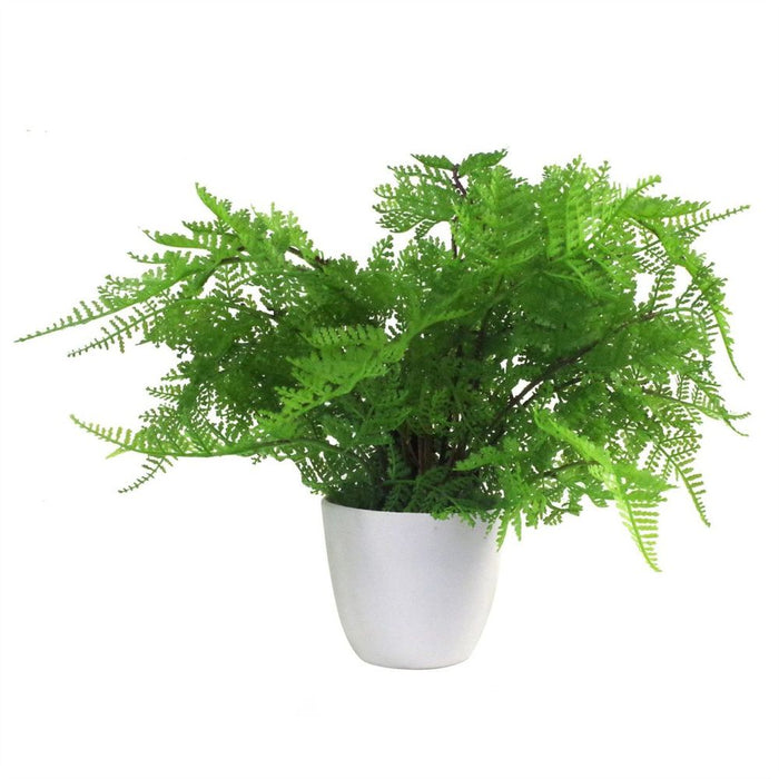 Realistic 30cm Artificial Potted Lady Fern - High Quality Foliage in Plastic Weighted Pot - Leaf Design UK