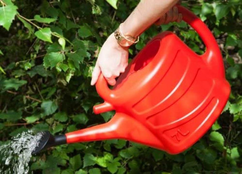 Whitefurze G28WC 7L Watering Can - Red: Wraparound Handle, Detachable Sprinkler Rose, Easy to Pour - Indoor and Outdoor Use