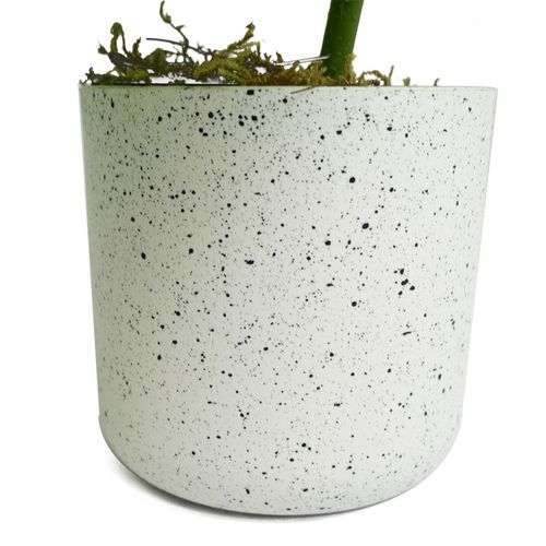 https://images.avasam.com/?url=https://avasamnew.s3.amazonaws.com/product/GB010188/S0671599760/3.png&w=500