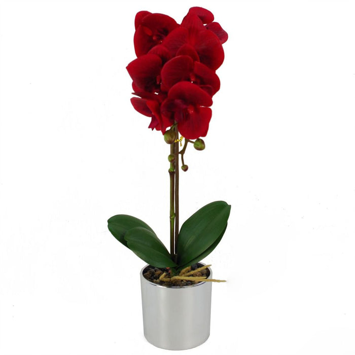 Premium Red Orchid: Realistic, Silver Pot