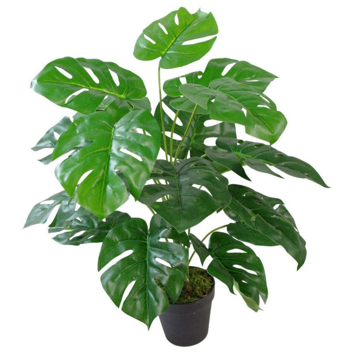 Premium Quality 60cm Monstera Cheese Plant - Realistic Artificial Foliage - Attention to Detail - Leaf Design UK