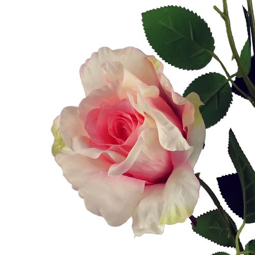 https://images.avasam.com/?url=https://avasamnew.s3.amazonaws.com/product/GB010188/S0671589109/5.png&w=500