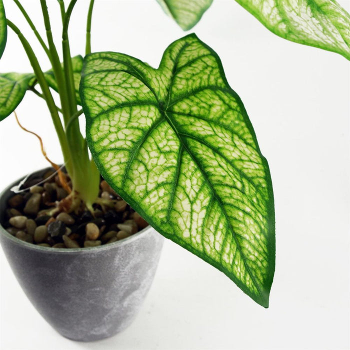 Premium 40cm Artificial Taro | Realistic Décor | Wired Stems | Decorative Planter