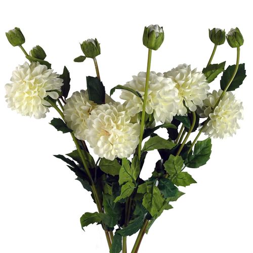 https://images.avasam.com/?url=https://avasamnew.s3.amazonaws.com/product/GB010188/S0671589505/main.png&w=500