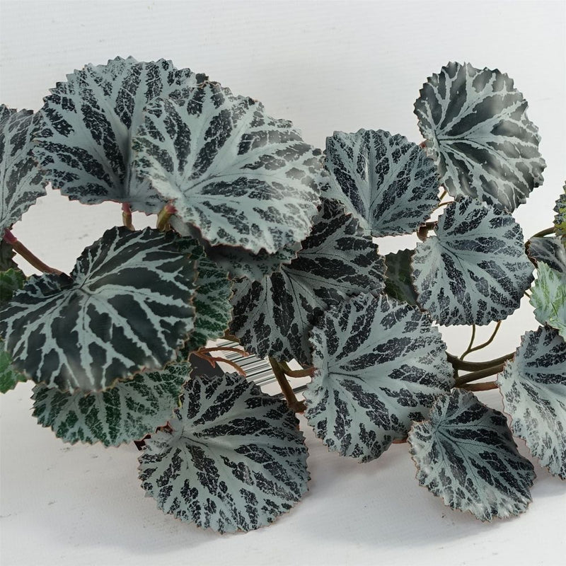 Realistic 50cm Artificial Trailing Begonia Plant - High-Quality Faux Plant with Attention to Detail