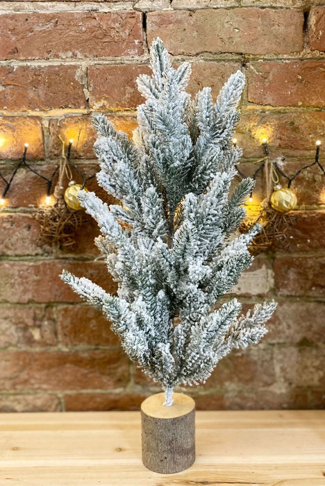 Frosted Christmas Tree in Log Base - 56cm Height