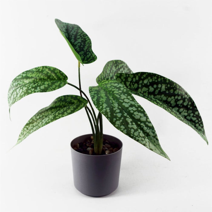 35cm Artificial Spotted Plant in Planter