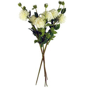 https://images.avasam.com/?url=https://avasamnew.s3.amazonaws.com/product/GB010188/S0671589505/4.png&w=500