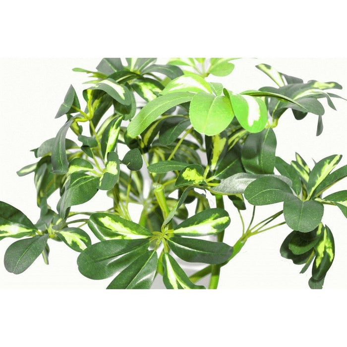 Stunning 70cm Artificial Twisted Stem Modern Arboricola Bonsai Bush, High Quality Silk Leaves