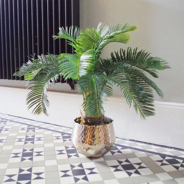 60cm Artificial Cycas Palm Tree - Lifelike & Lush Green