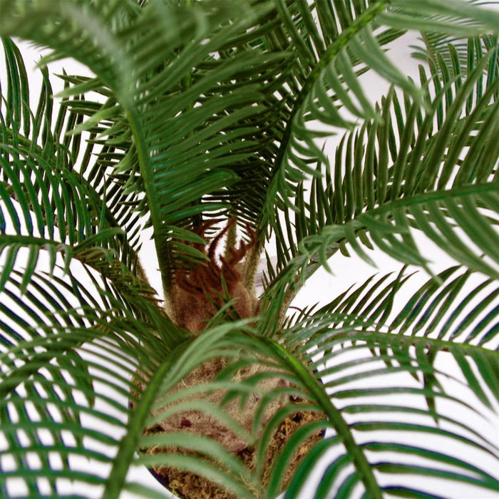 60cm Artificial Cycas Palm Tree - Lifelike & Lush Green