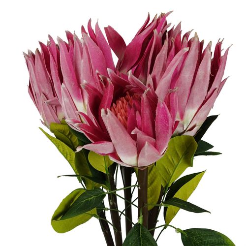 65cm Protea Sugarbush Flower Stem - Pink