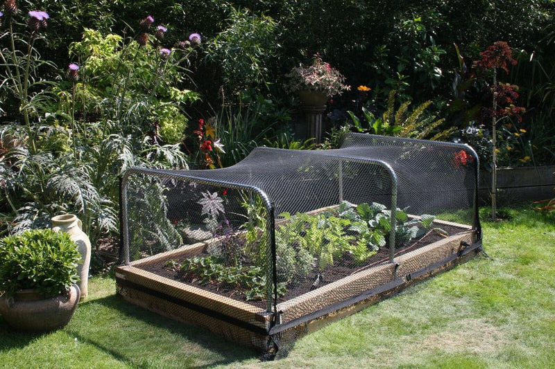 Anti Bird Garden Netting Pond Net Protection Plants Veg Crops Fruit Fine Mesh 2M X 10M
