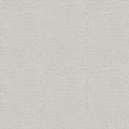 Luxury Plain Soft Silver sw6 wallpaper
