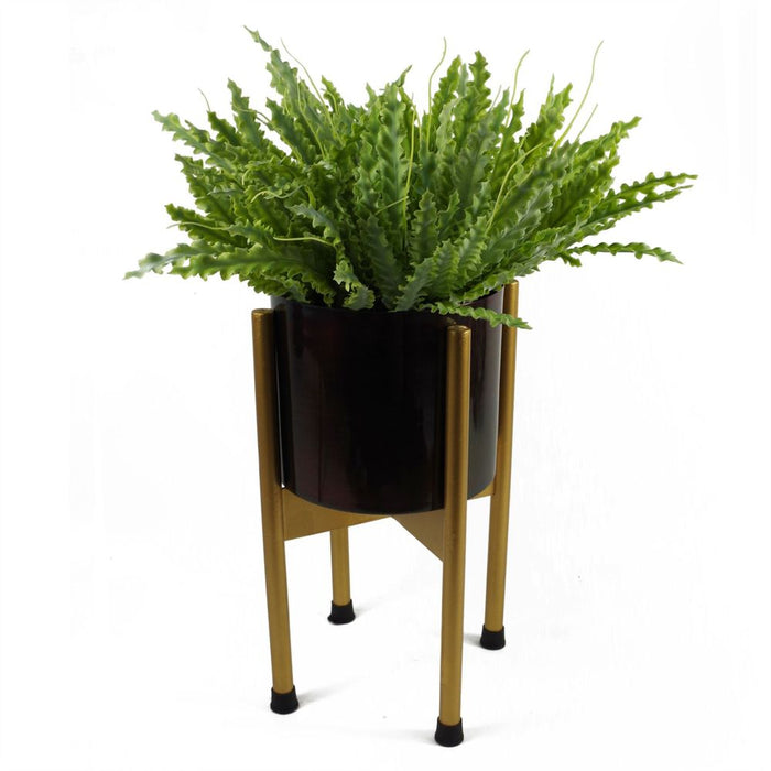 12 x 40cm Artificial Crocodile Fern Plant