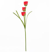 https://images.avasam.com/?url=https://avasamnew.s3.amazonaws.com/product/GB010188/S0671589117/3.png&w=500