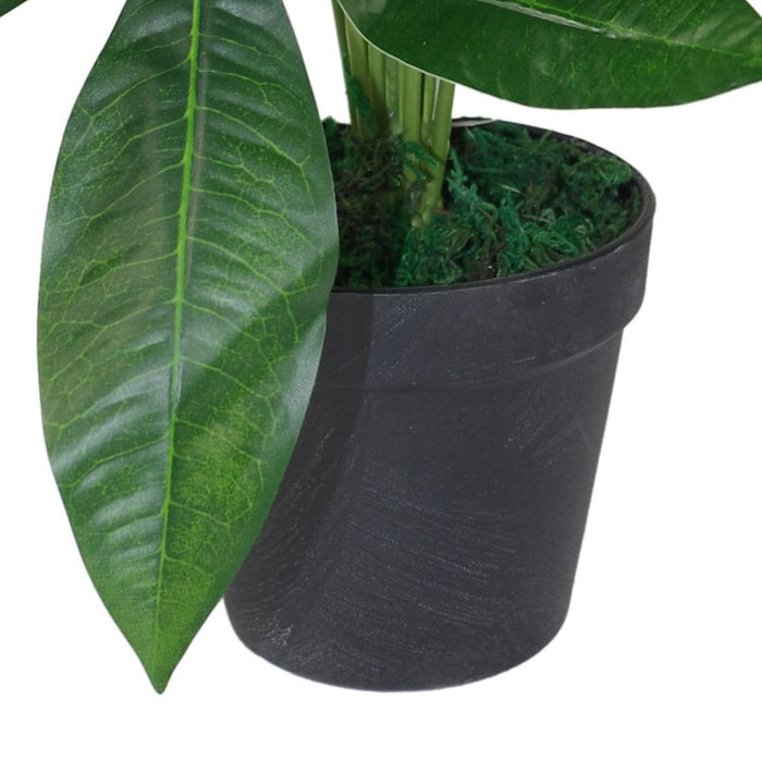 Premium 50cm Artificial Money Tree Plant - High Quality Leaf Design - Tropical Décor - Fast Shipping