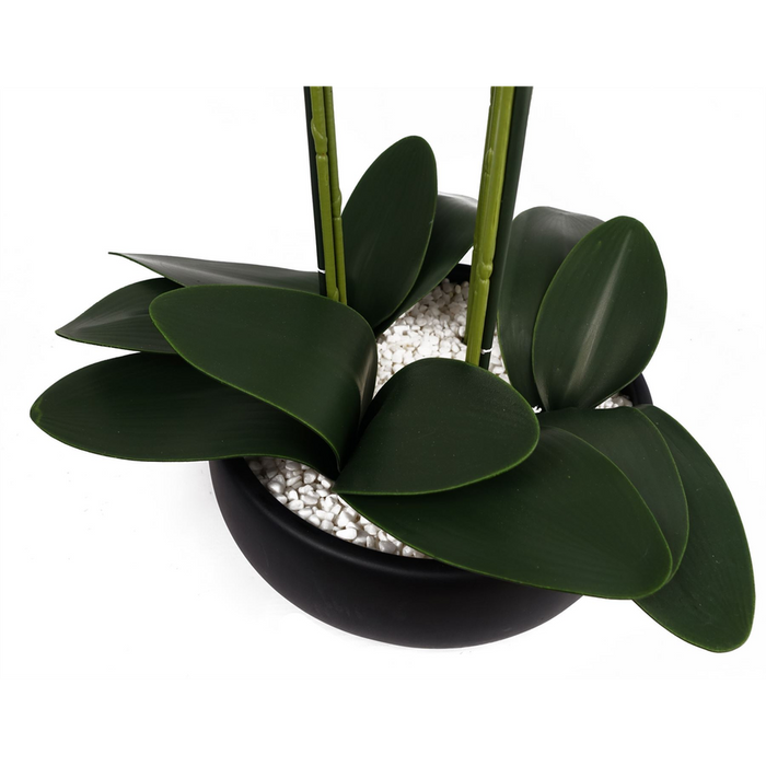 Artificial Yellow Orchid in Black Ceramic Planter - 60cm