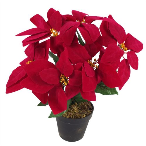 https://images.avasam.com/?url=https://avasamnew.s3.amazonaws.com/live/GB010188/S0671349170_13.webp&w=500