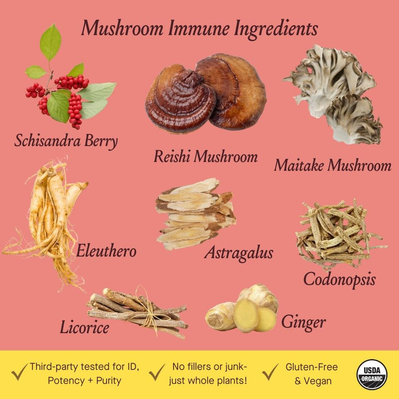 Urban Moonshine Mushroom Immune – Daily Immune Support with Reishi & Astragalus (Gluten Free, 8.4 Fl Oz)