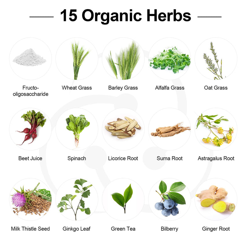 Probiotics for Women and Men – 300B CFU, 24 Strains + 15 Organic Herbs (2 Month Supply)