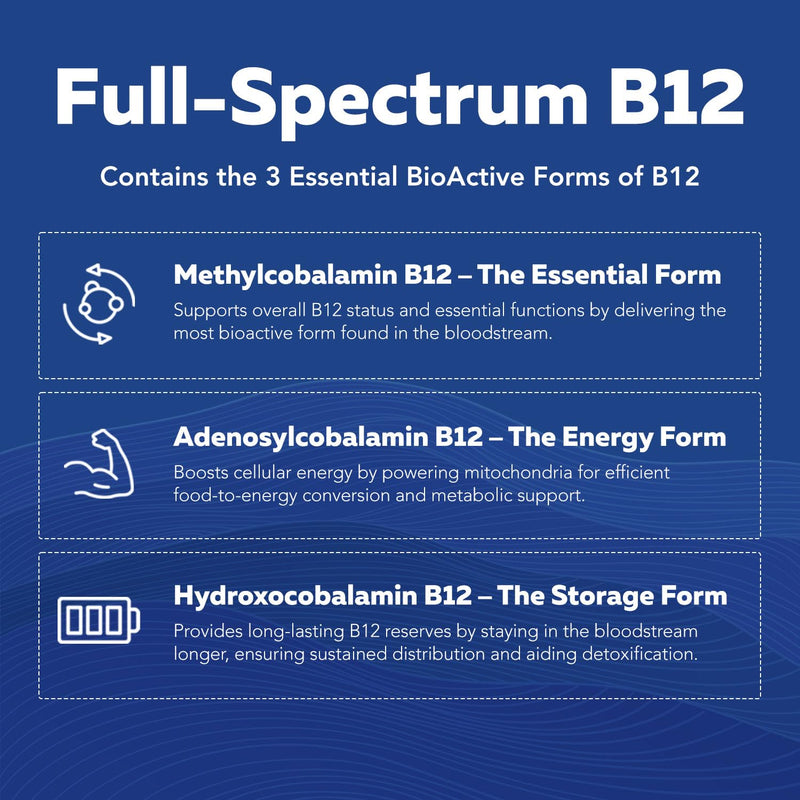 BioActive Vitamin B Complex - Liquid 4 oz | Methylated B Vitamins