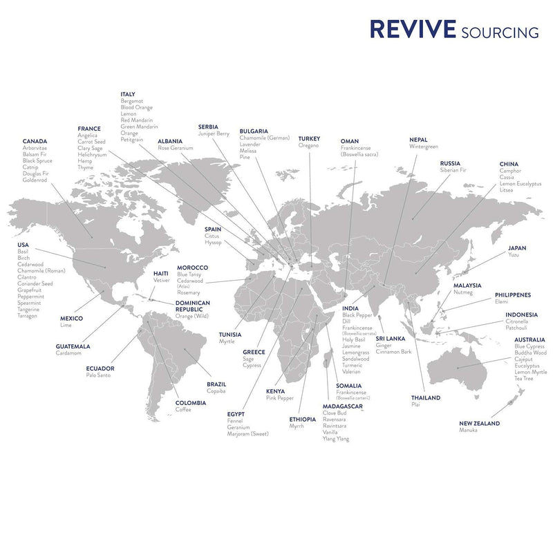 Vanilla by Revive Essential Oils | 100% Pure Therapeutic Grade