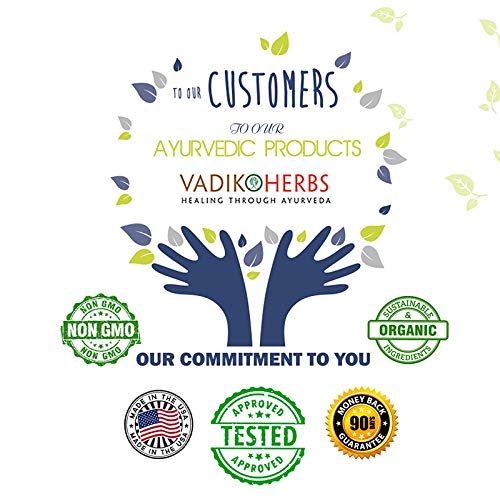 Vadik Herbs Organic Vasak (Vasaka) Powder – 100 Vegicaps | Made in USA