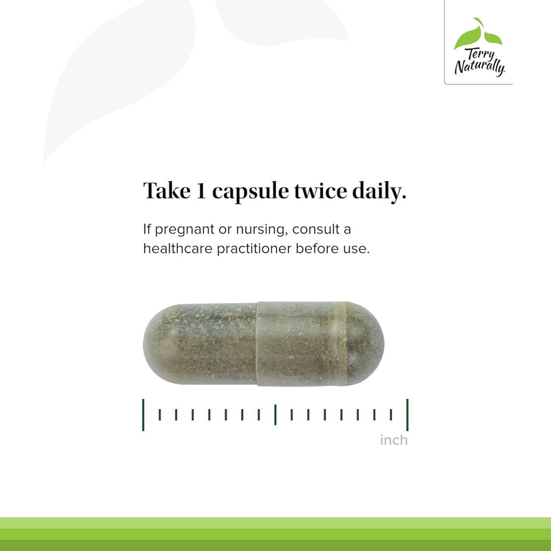 Andrographis EP80 with Umckaloabo – Sinus & Respiratory Support (60 Veg Capsules)