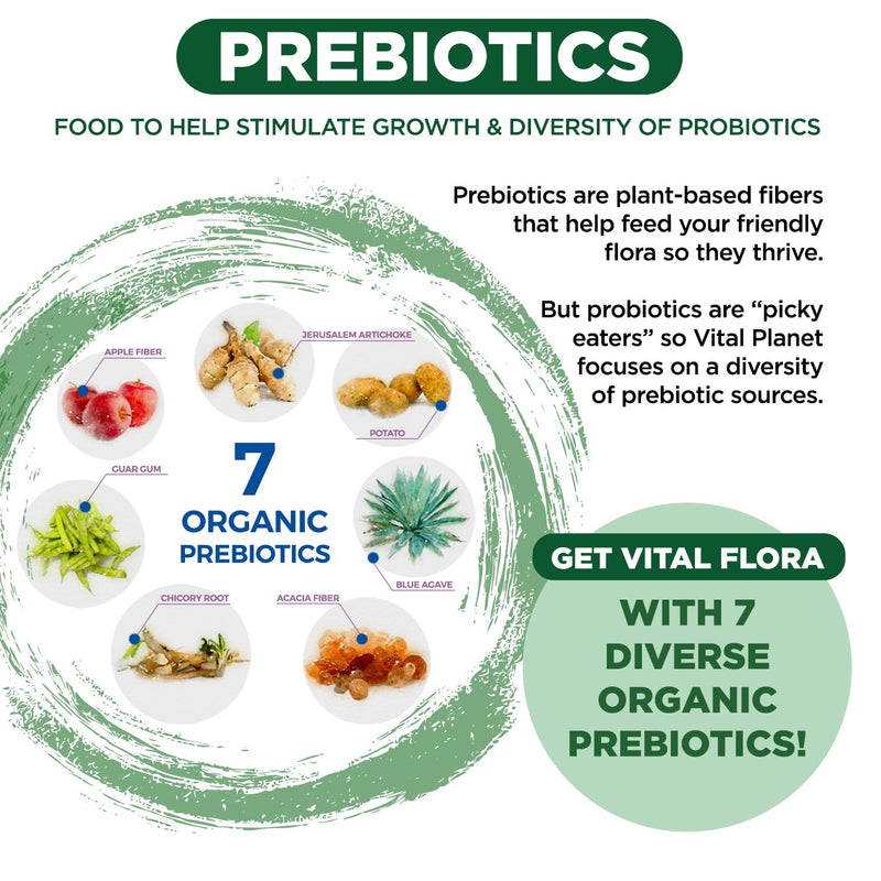 Vital Flora 60B CFU Probiotic for Adults 55+ | Vital Planet Shelf-Stable